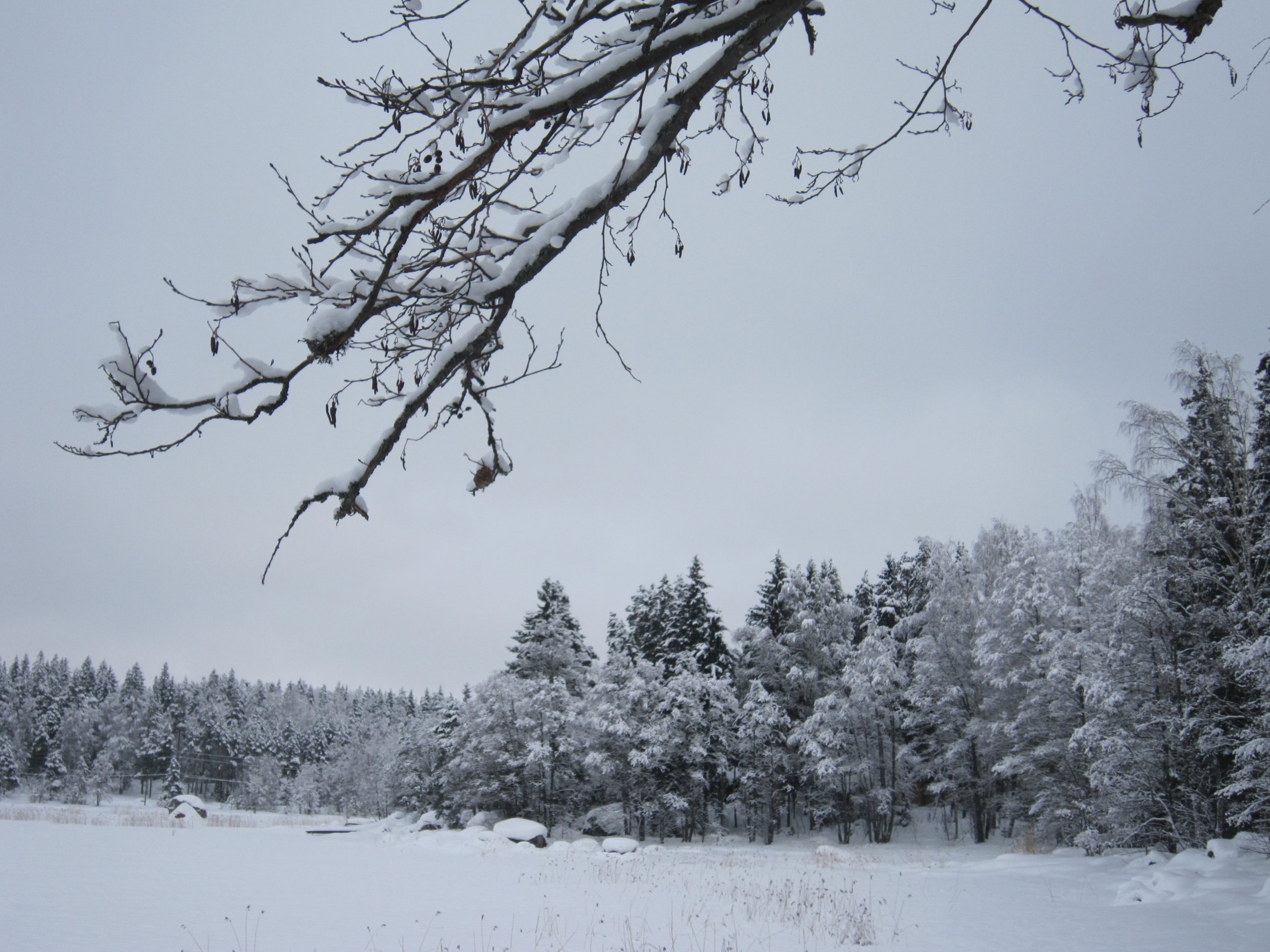 Itäpaja - automaatiot.