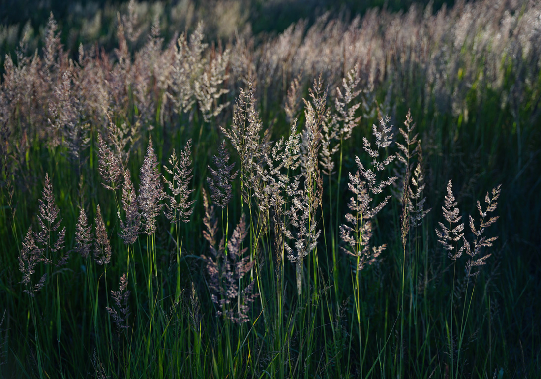 Itäpaja - datainfra.